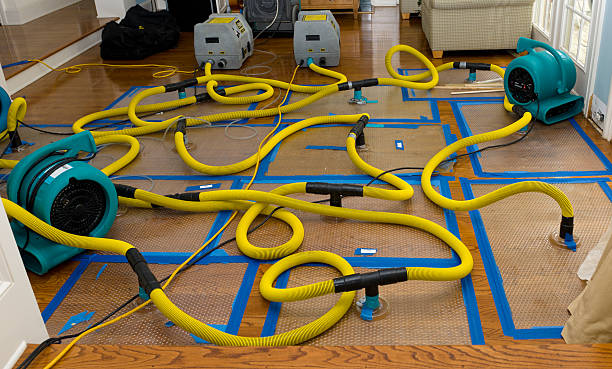 Professional Basement Flood Cleanup technician working in Kalkaska, MI